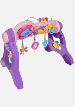 Centro de Atividades Com Som - Play Gym