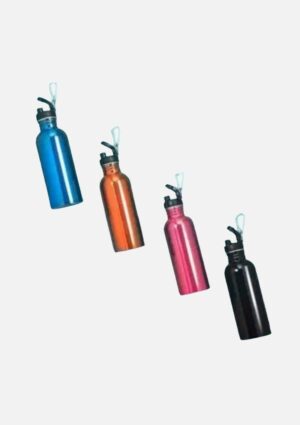 Garrafa de Aço Inox Water To Go Mor