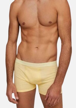 Cueca Hering Boxer Com Elástico Personalizado- Amarelo