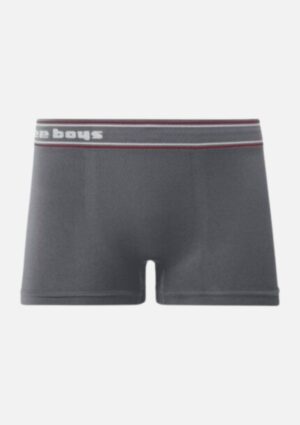 Cueca Boxer Infantil Sem Costura Cinza
