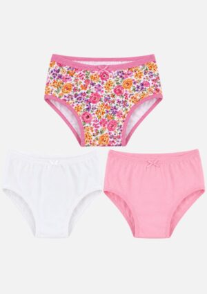 Kit com 3 Calcinhas Marisol