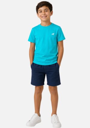 Camiseta Juvenil Básica 100% Algodão Bruce NK Menswear