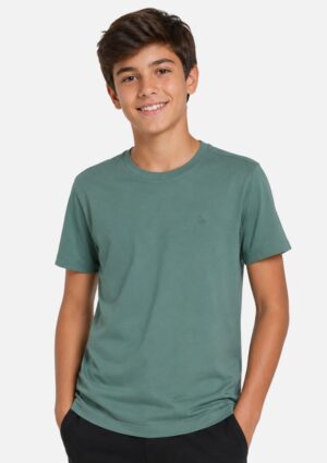 Camiseta Básica Infantojuvenil 100% Algodão Ogochi